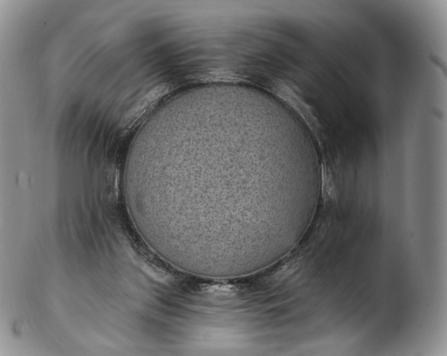 X0000102810157200809021206