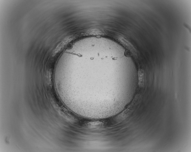 X0000102810158200809021206