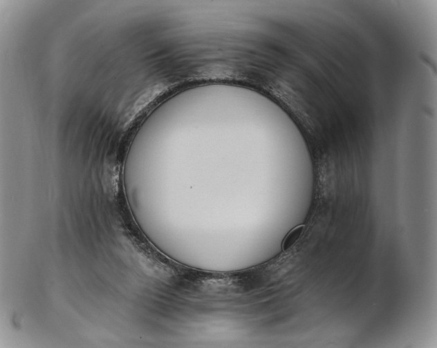 X0000102810160200809021206