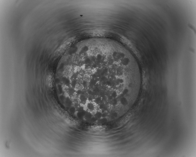 X0000102810161200809021206