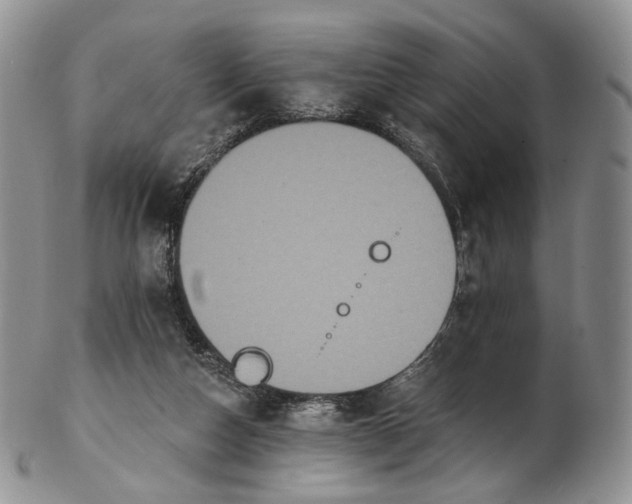 X0000102810162200809021206