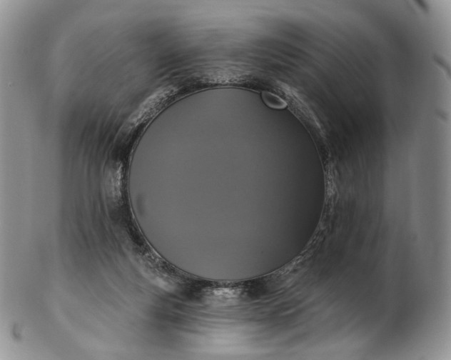 X0000102810163200809021206