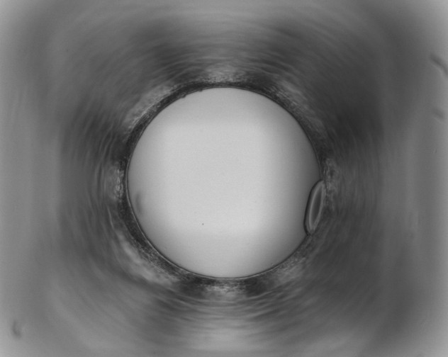 X0000102810164200809021206