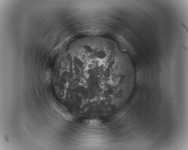 X0000102810165200809021206