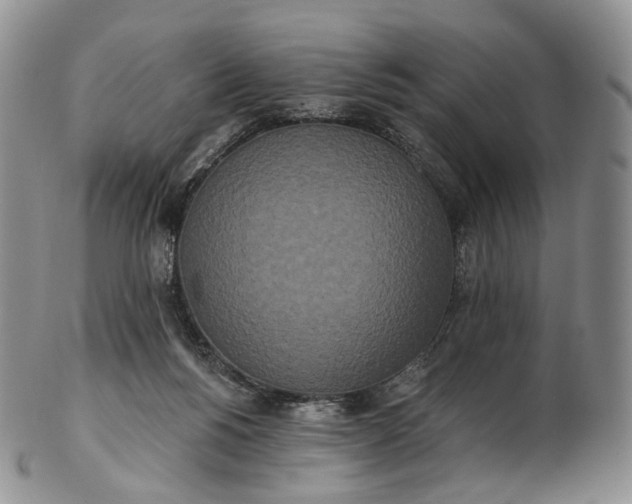 X0000102810168200809021206