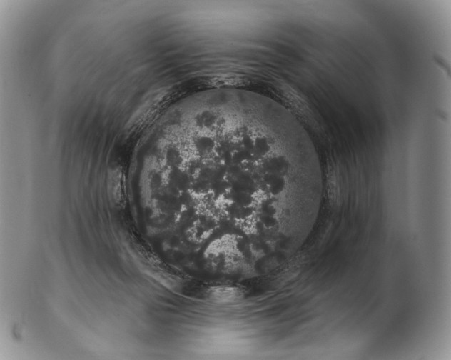 X0000102810169200809021206