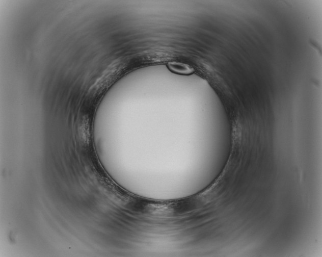 X0000102810170200809021206