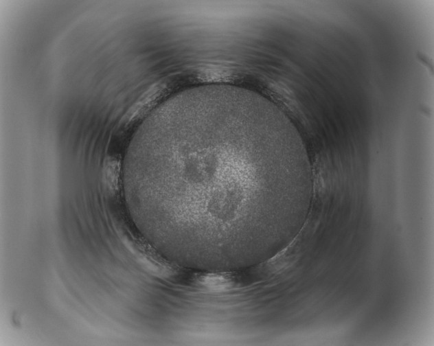 X0000102810171200809021206