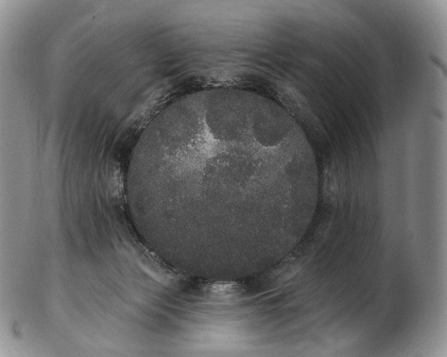 X0000102810173200809021206