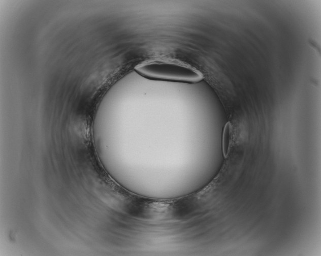 X0000102810176200809021207