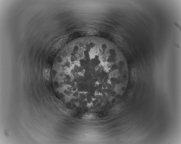 X0000102810177200809021207