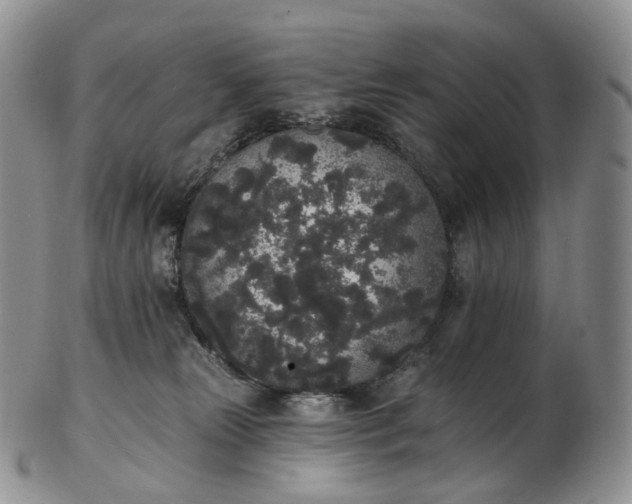 X0000102810181200809021207