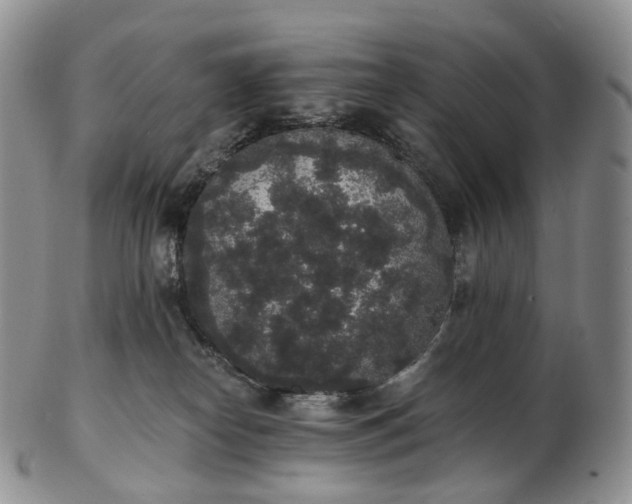 X0000102810182200809021207