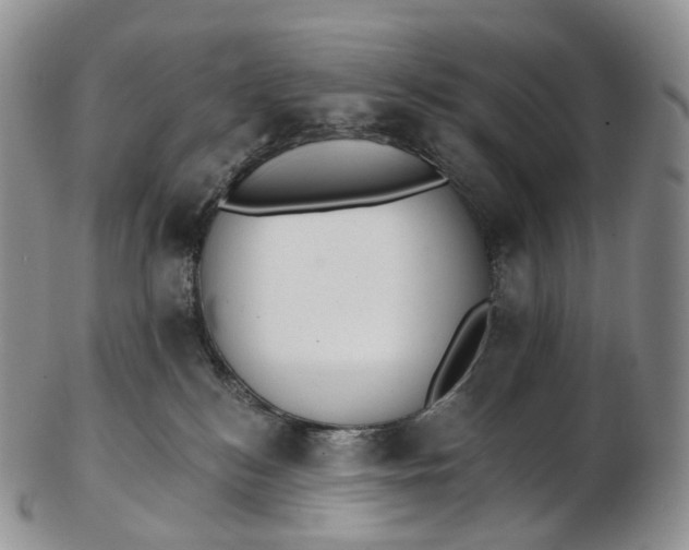 X0000102810184200809021207