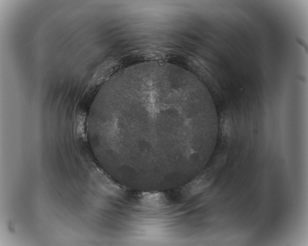 X0000102810185200809021207