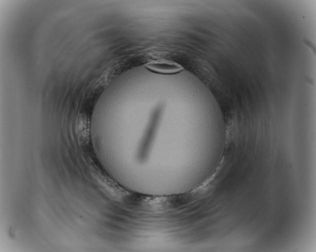 X0000102810186200809021207