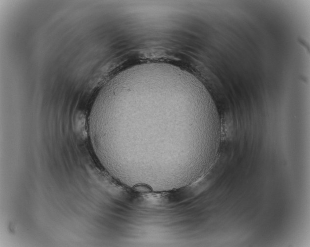 X0000102810187200809021207