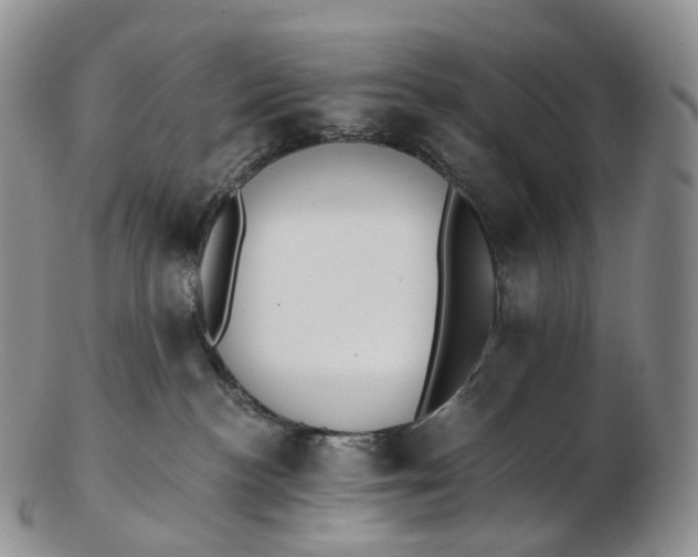 X0000102810188200809021207