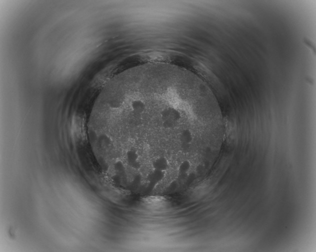 X0000102810189200809021207