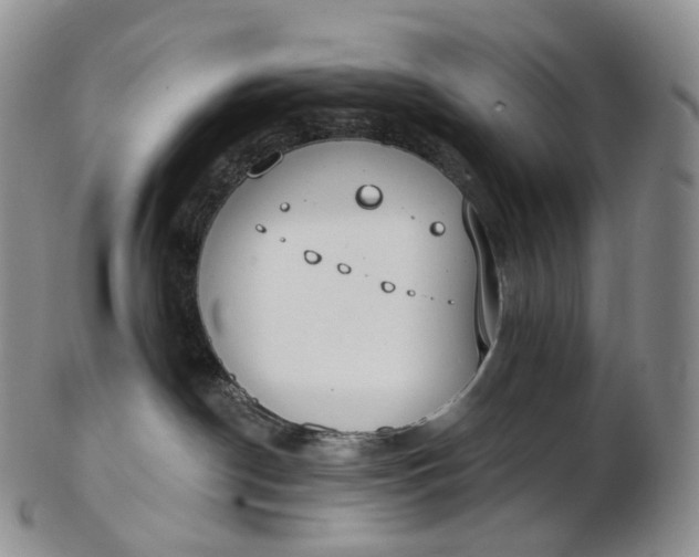 X0000102810190200809021207