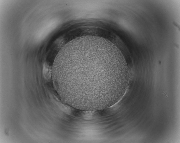 X0000102810191200809021207