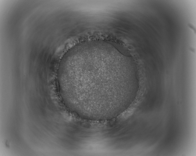 X0000102810192200809021207