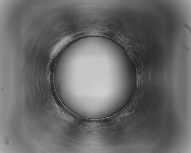 X0000102810197200809021206