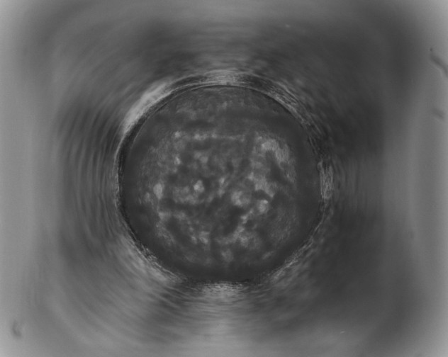 X0000102810198200809021206