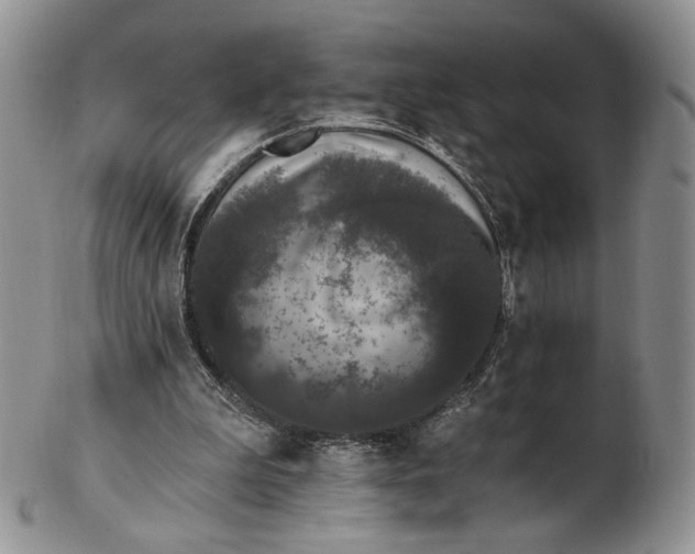 X0000102810199200809021206