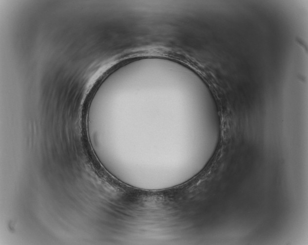 X0000102810200200809021206