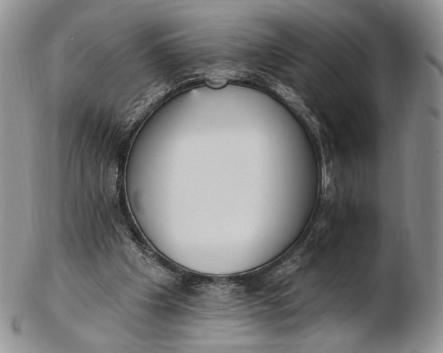 X0000102810201200809021206