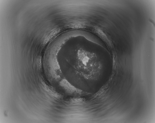 X0000102810202200809021206