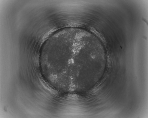 X0000102810203200809021206