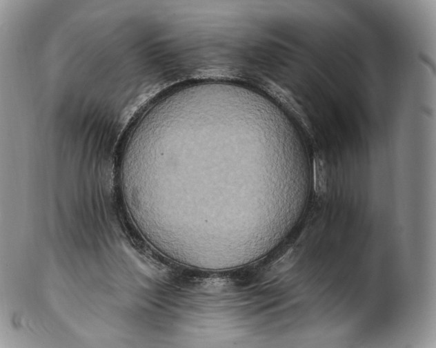 X0000102810204200809021206