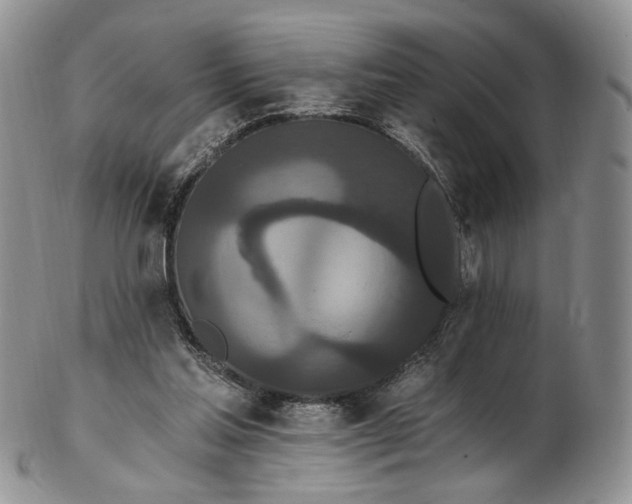 X0000102810205200809021206