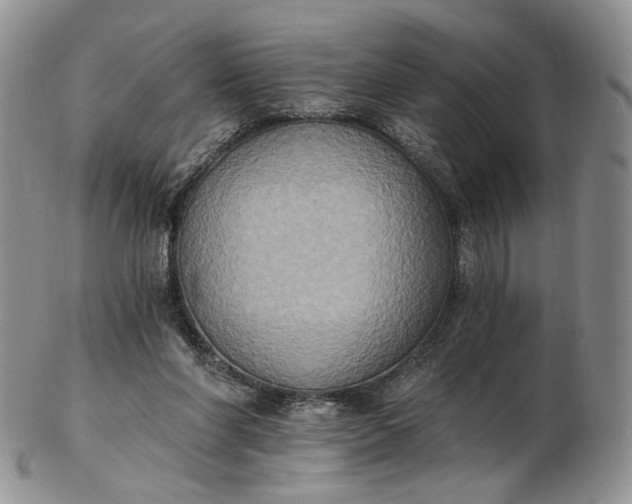 X0000102810206200809021206