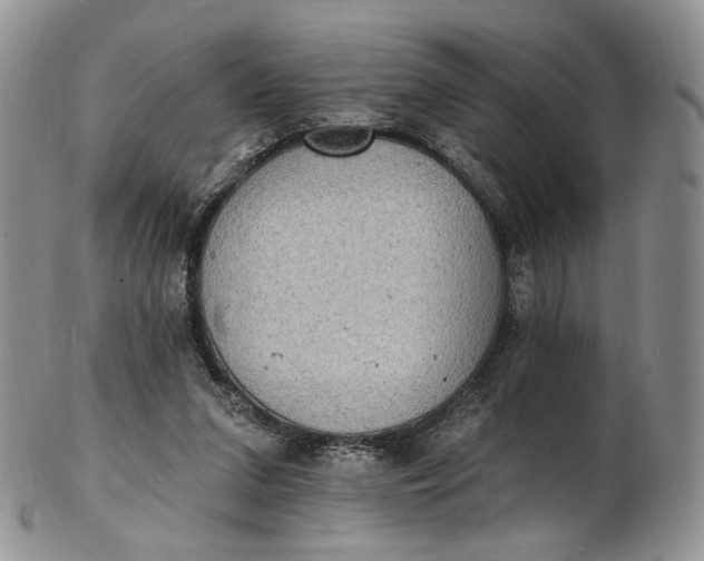 X0000102810207200809021206