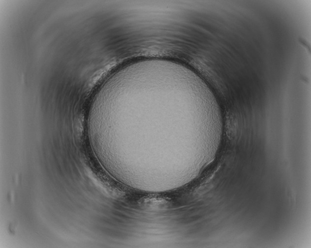 X0000102810208200809021206