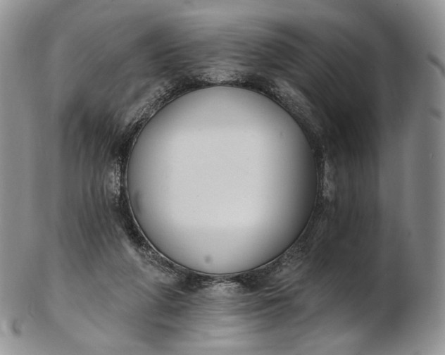 X0000102810210200809021206