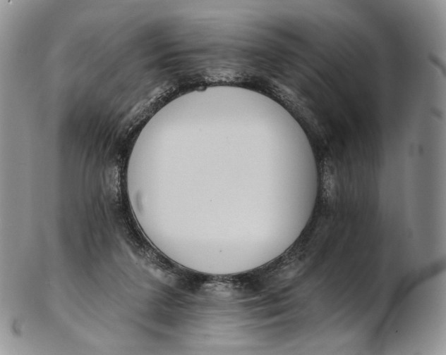 X0000102810211200809021206