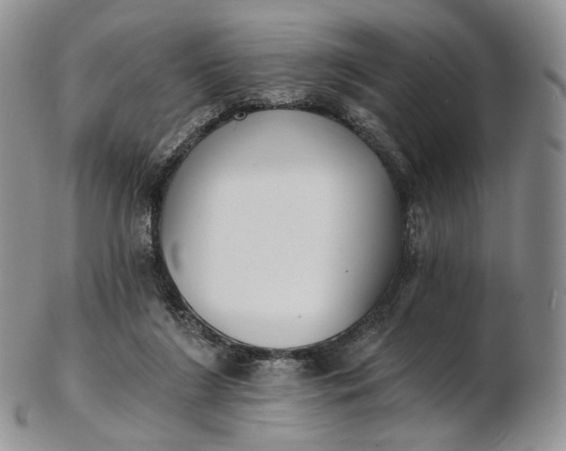 X0000102810212200809021206