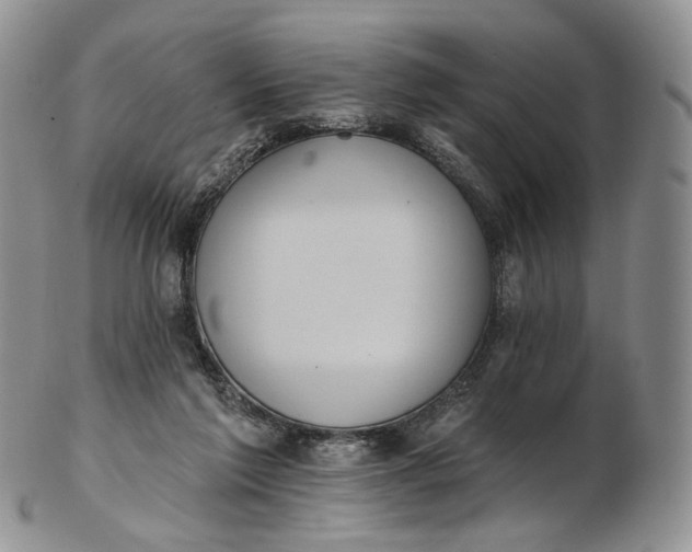 X0000102810213200809021206