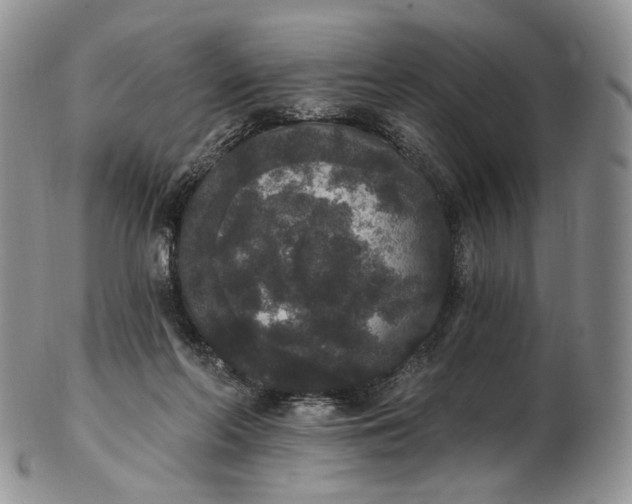 X0000102810214200809021206