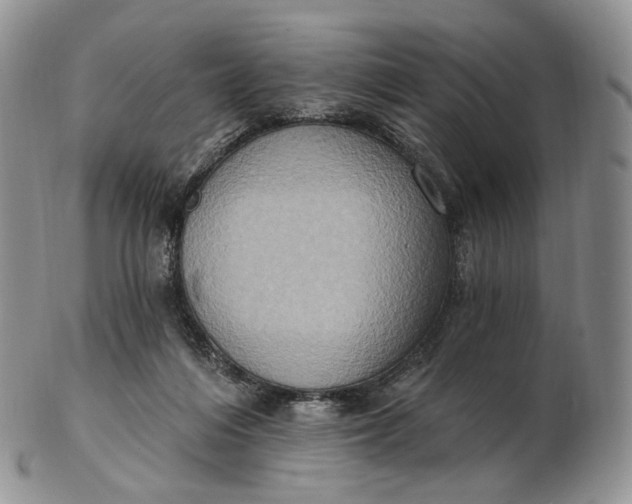 X0000102810216200809021206