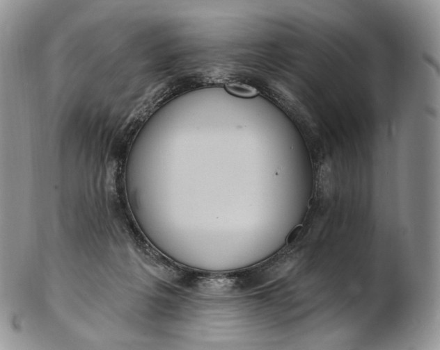 X0000102810217200809021206