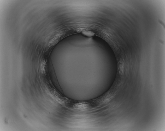 X0000102810219200809021206