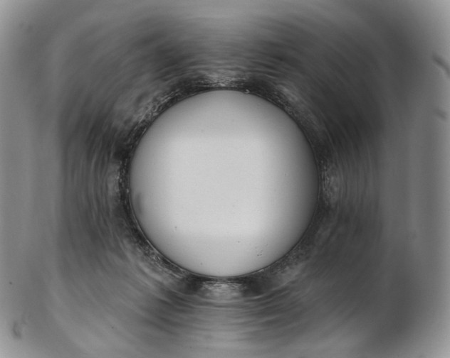 X0000102810221200809021206