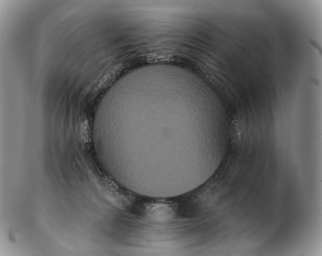 X0000102810224200809021206