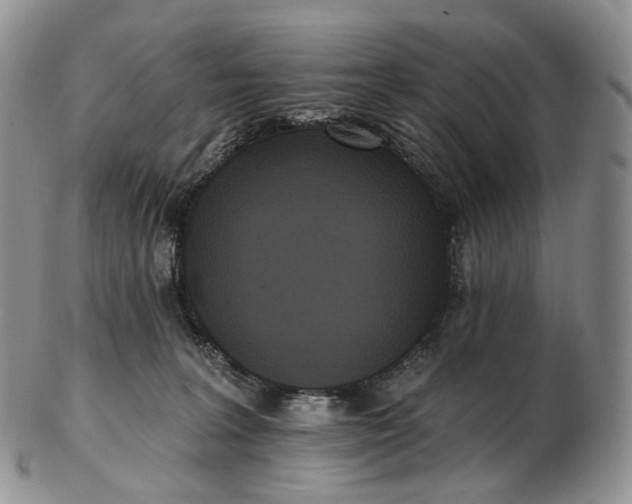 X0000102810227200809021206