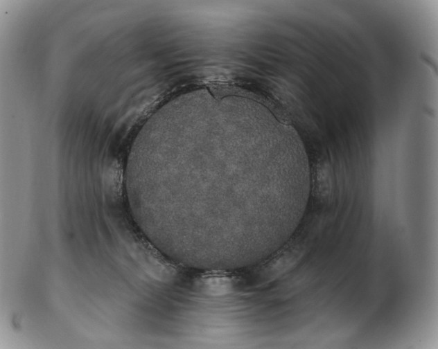 X0000102810228200809021206